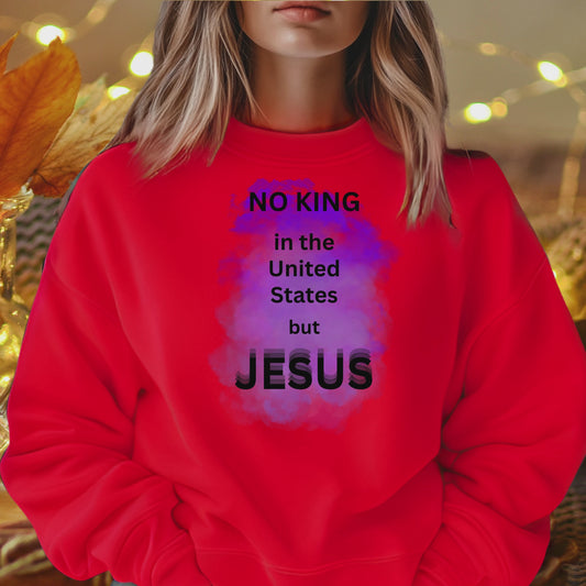 no king in the United States but JESUS   LS T-Shirt 5.3 oz.
